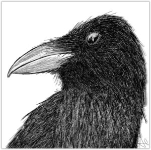 Crow illustrated by Antonio Penalver